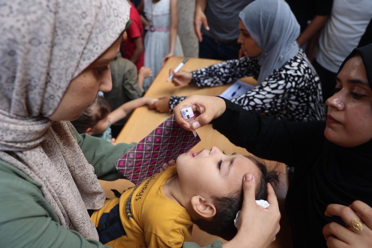 A young boy is getting vaccinated for polio in Gaza.