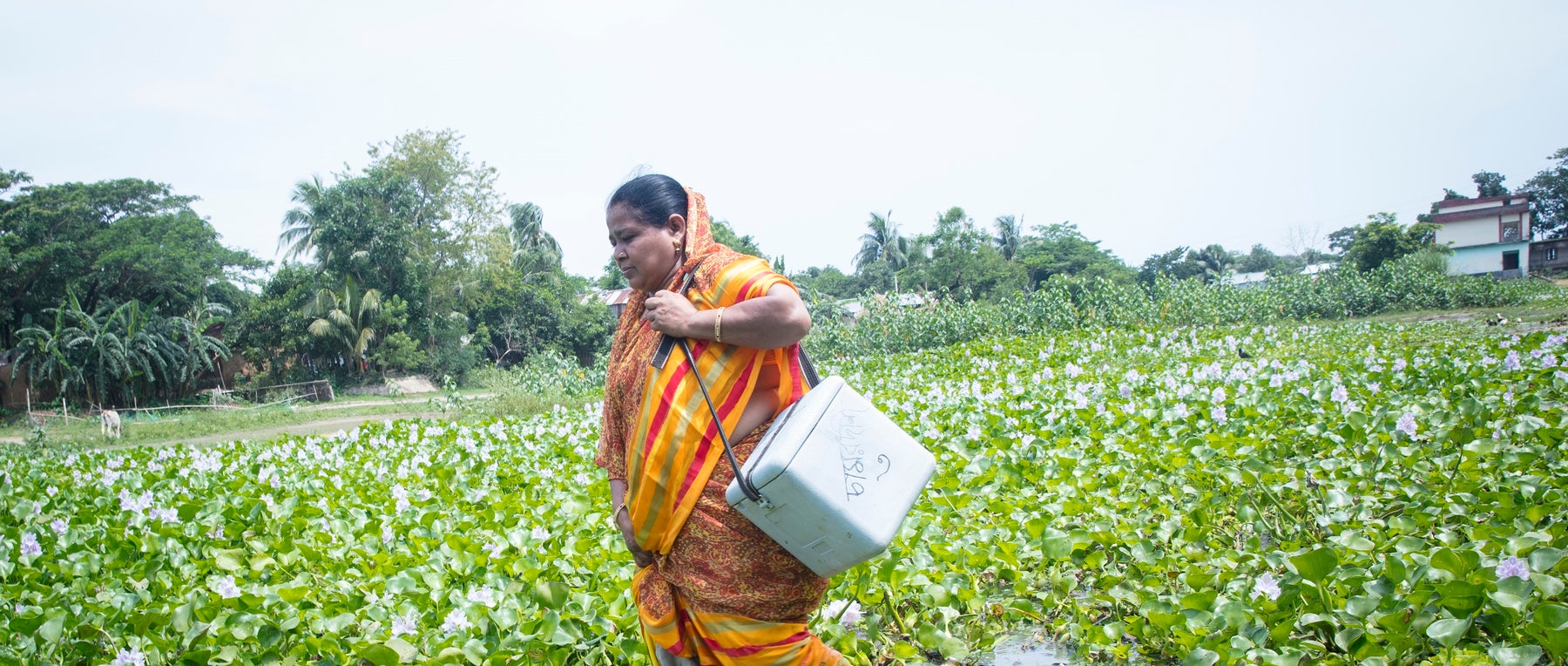 Health worker walks in a field