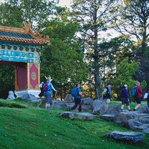 Aussie Peace Walk 2024