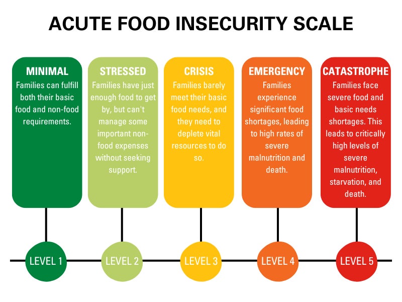 Infographic of food insecurity 