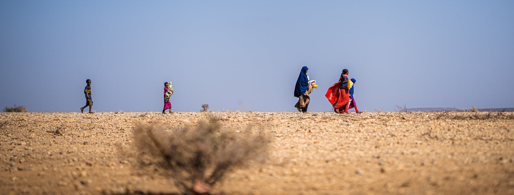 Walking in the desert