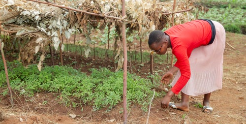  Burundi: the country where young people are leading climate action 