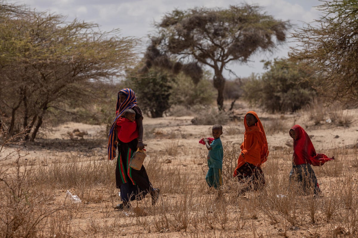 A woman and her children cross a dry field caused by severe drought from three consecutive failed rainy seasons in Ethiopia. 