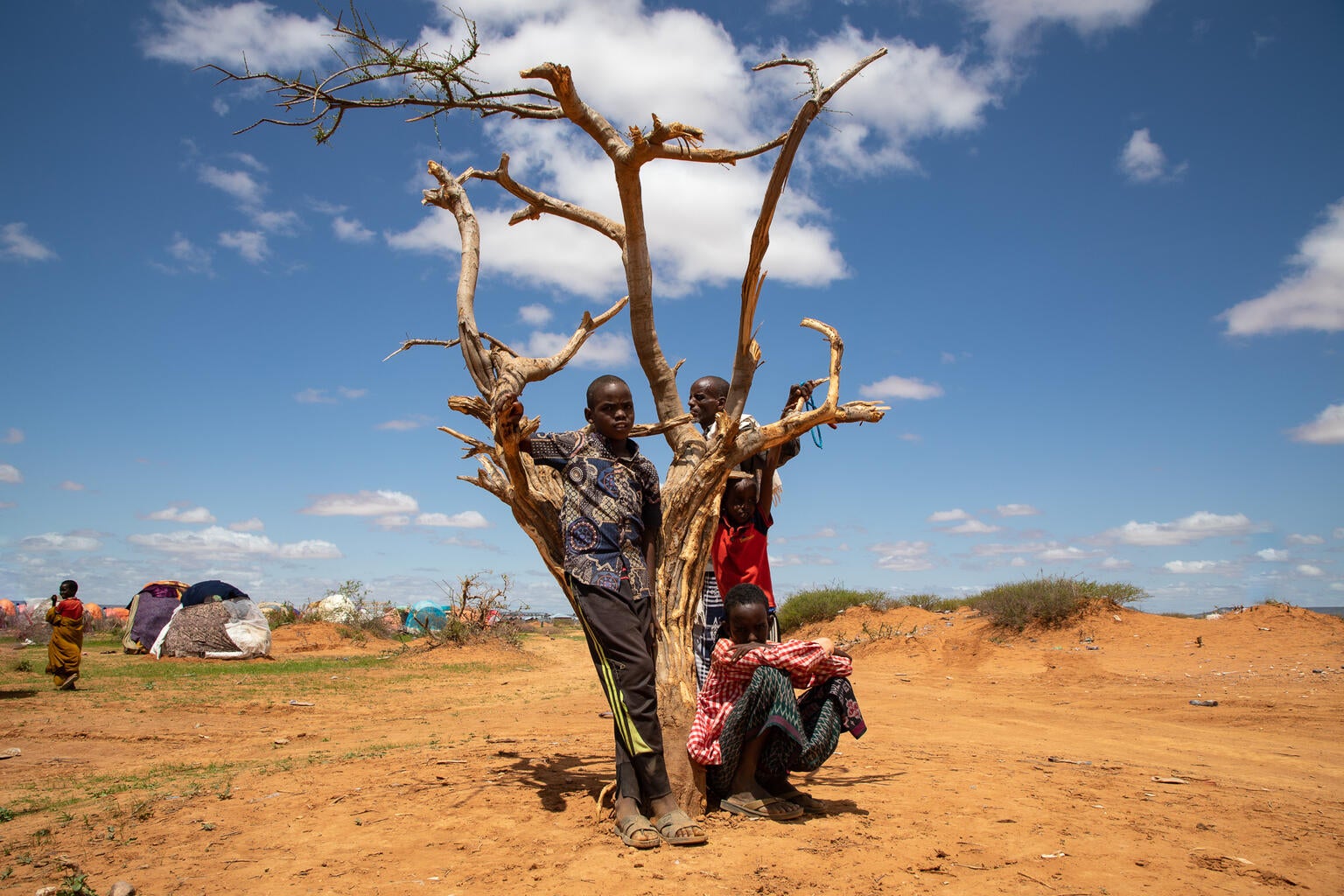 Three children are posing to the camera behind a dead tree. All the landscape looks very dry.