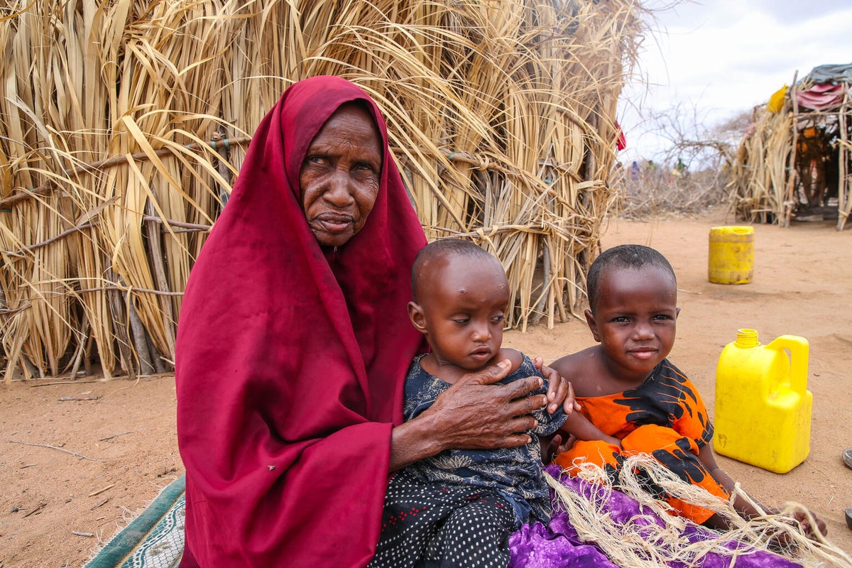 Global Malnutrition Crisis | UNICEF Australia