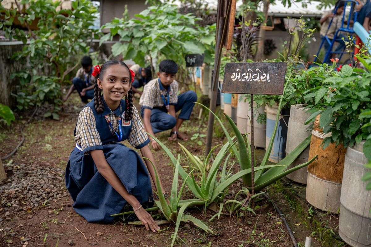 A young girl tends to the plants at her school. 