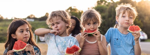 A group of four young children eat slices of watermelon.