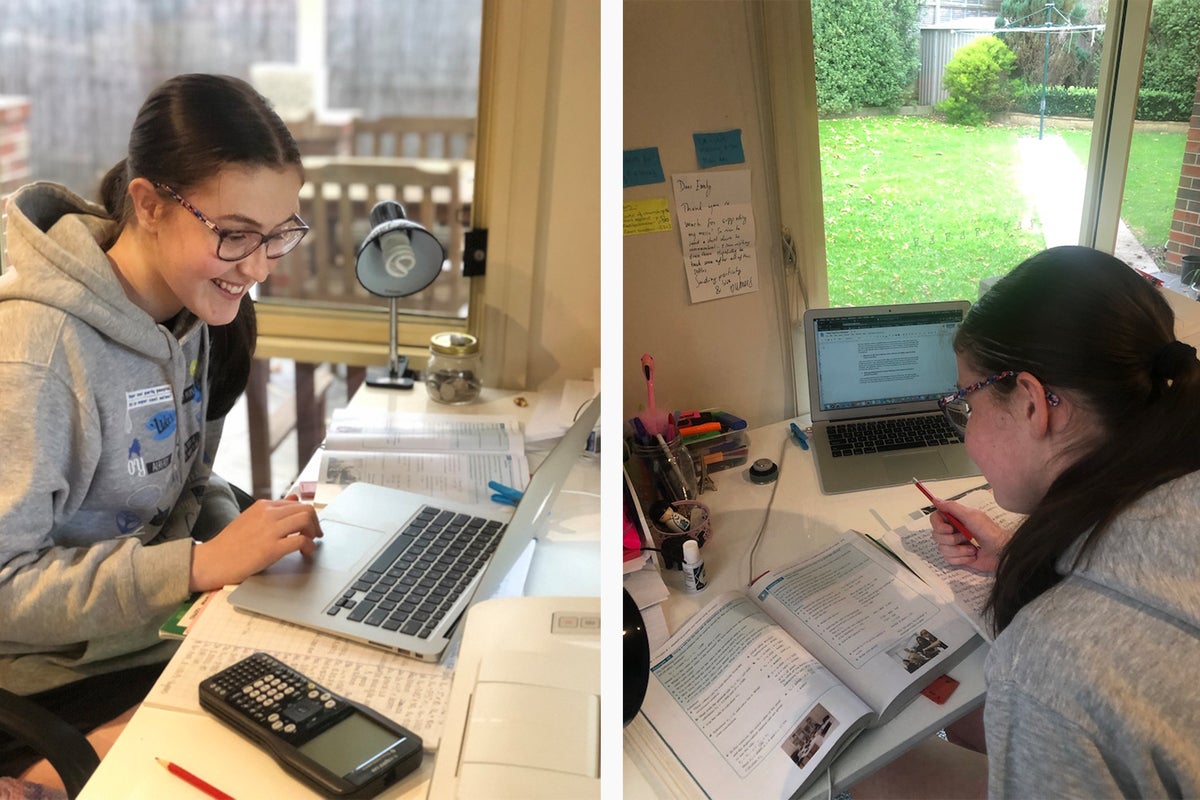 Emily studying at computer and with textbooks