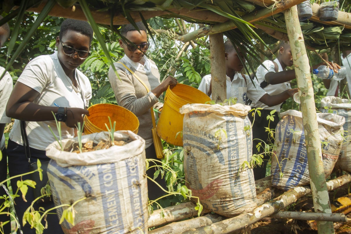 Students in Burundi from the Creatable program attend to a vertical garden. Creatable is a STEM program that teaches students how to solve real-world problems.