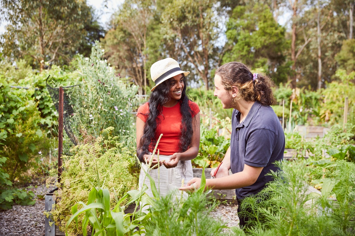 Two young people have a conversation in the middle of a community garden. 