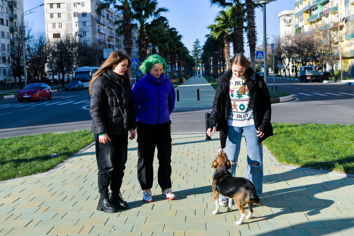 A group of three teenage girls and a dog stand on a sidewalk. 