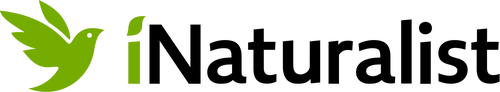 iNaturalist