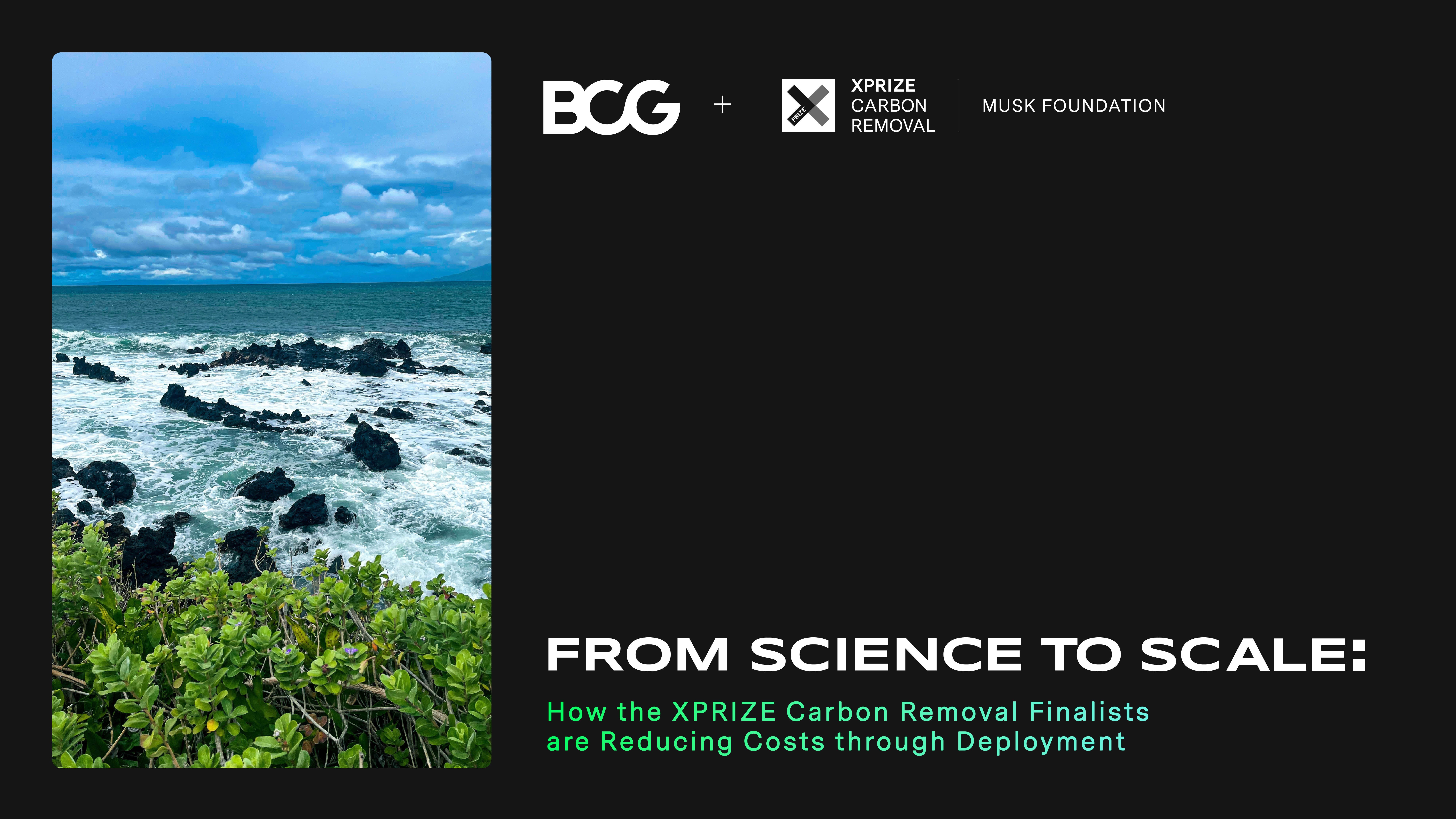 Waves crashing over rocks in front of a forest and the title of the report