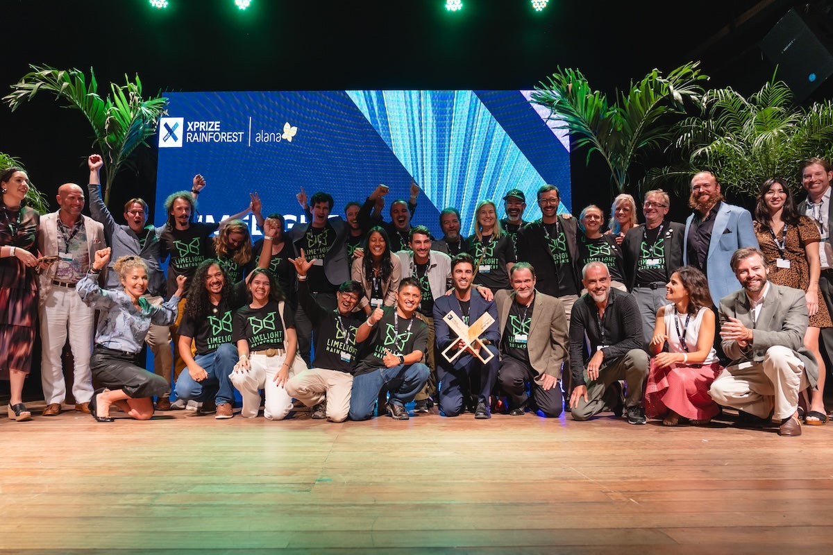 Limelight Rainforest