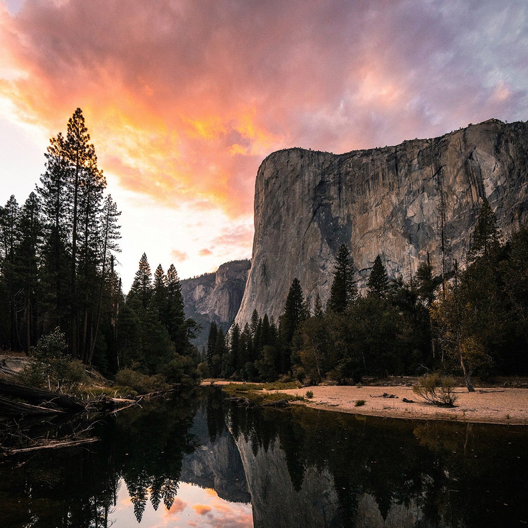 XPRIZE Carbon Removal Finalists Team Book cover