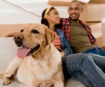 A young military couple and their pet dog relaxing after a PCS military move.