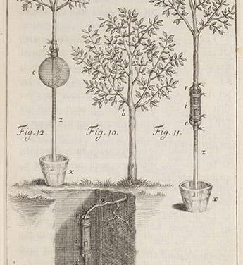 The Stephen Hales Prize Fund of the American Society of Plant Physiologists