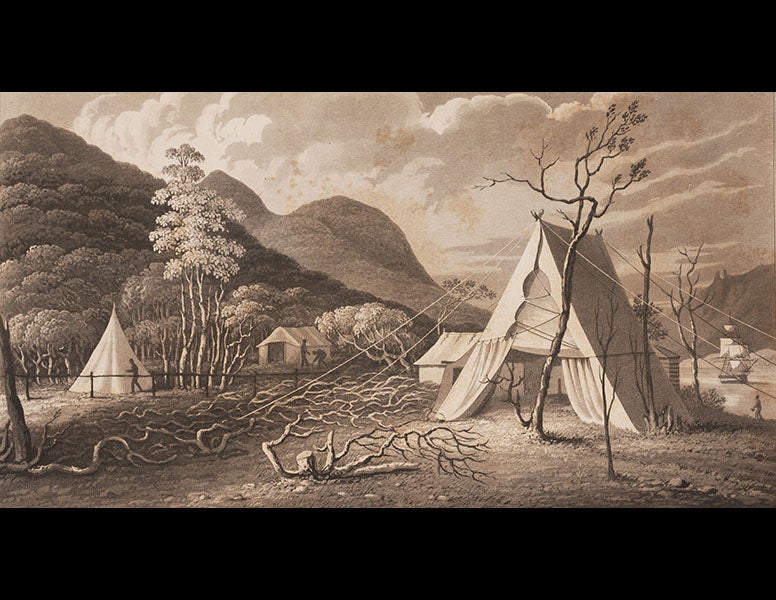 <p>Linda Hall Library</p>