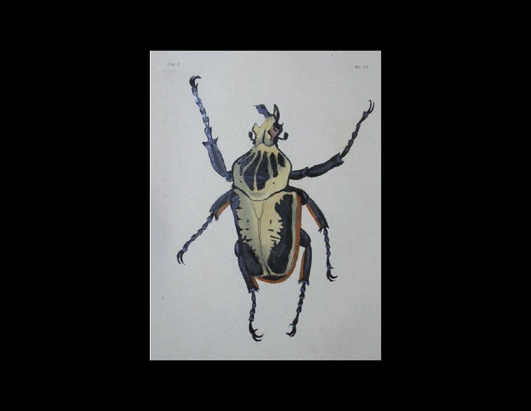 Special Collections, Glasgow University Library