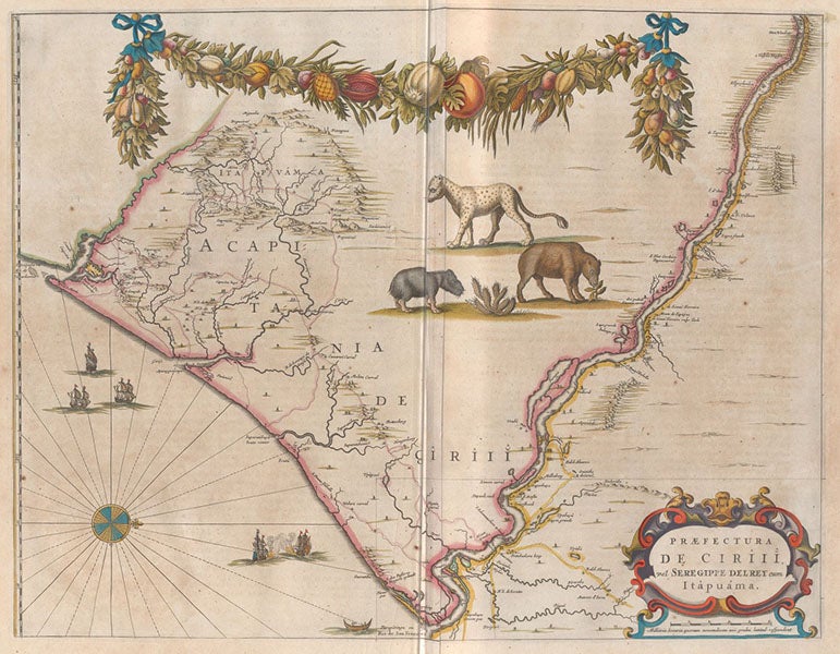 Map of Siriji prefecture of Brazil, with capybara and jaguar, hand-colored engraving, Atlas maior, by Joan Blaeu, vol. 11, foll. p. 241, 1662 (Linda Hall Library)