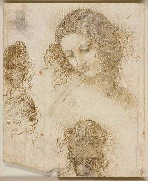 Study for Leda’s coiffure; black chalk, pen and ink, on paper; by Leonardo da Vinci, ca 1505-08, no. 912516, Royal Library, Windsor (rct.uk)