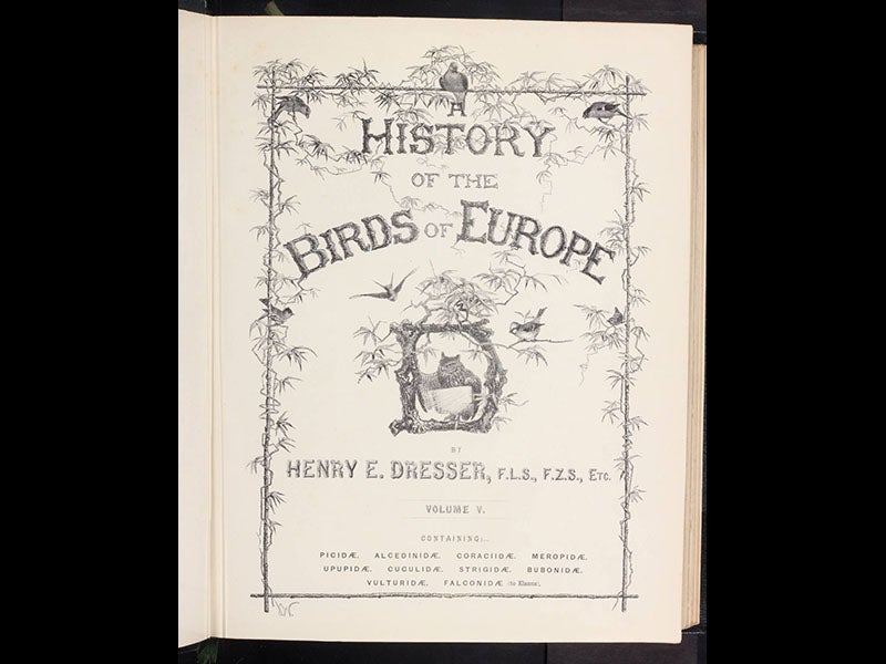 定価3.8万◆1871年ロンドン Henry Eeles Dresser「鳥類譜 定価3.8万◇1871年ロンドン Henry Eeles Dresser「鳥類譜│tabi