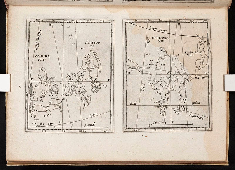 The constellations Auriga and Perseus (left) and Ophiuchus (right), etched plates in Christoph Grienberger, Catalogus veteres … cum novis, 1612 (Linda Hall Library)