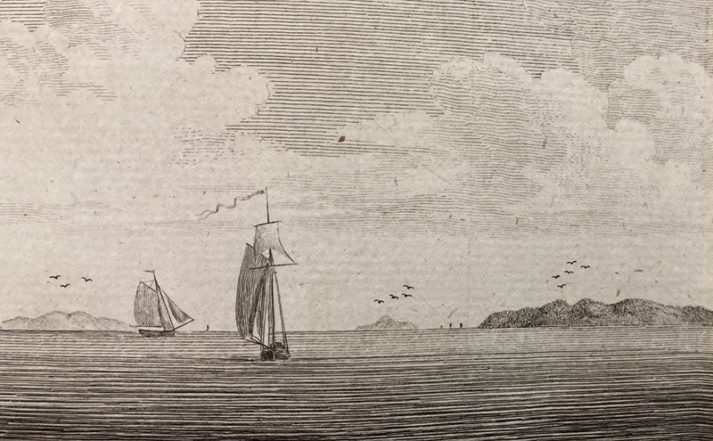 Detail of ninth image, top, the view of the Firth of Clyde, with islands identified by 3 birds, 4 birds, and 5 birds, folding double-page engraving in A Tour in Scotland, and Voyage to the Hebrides; MDCCLXXII, by Thomas Pennant, vol. 1, pl. 26, p. 260, 1774 (Linda Hall Library)