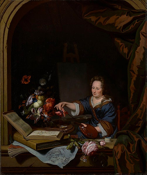 Portrait of Rachel Ruysch, oil on canvas, by Ruysch and Michiel van Musscher, 1692, Metropolitan Museum of Art, part of current exhibition, Rachel Ruysch: Nature into Art (2024-2025) (toledomuseum.org)