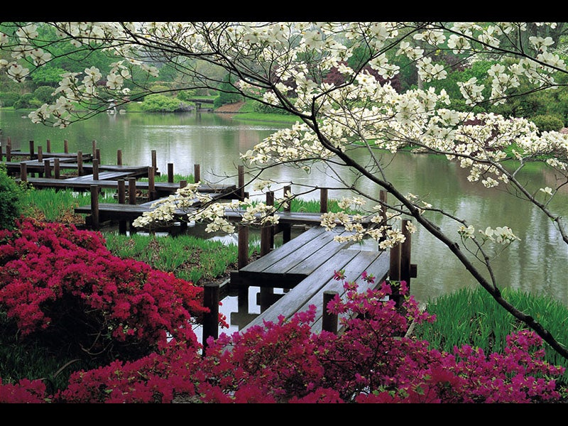 Image from Gardenvisit.com