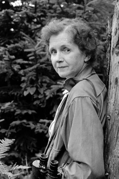 Portrait of Rachel Carson, photograph, unknown date (news.ucsc.edu)