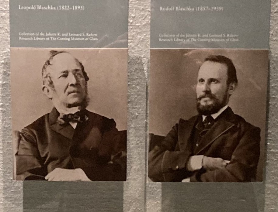 Portraits of Leopold (left) and son Rudolf Blaschka, undated photographs, part of display case, Corning Museum of Glass (photo by the author)