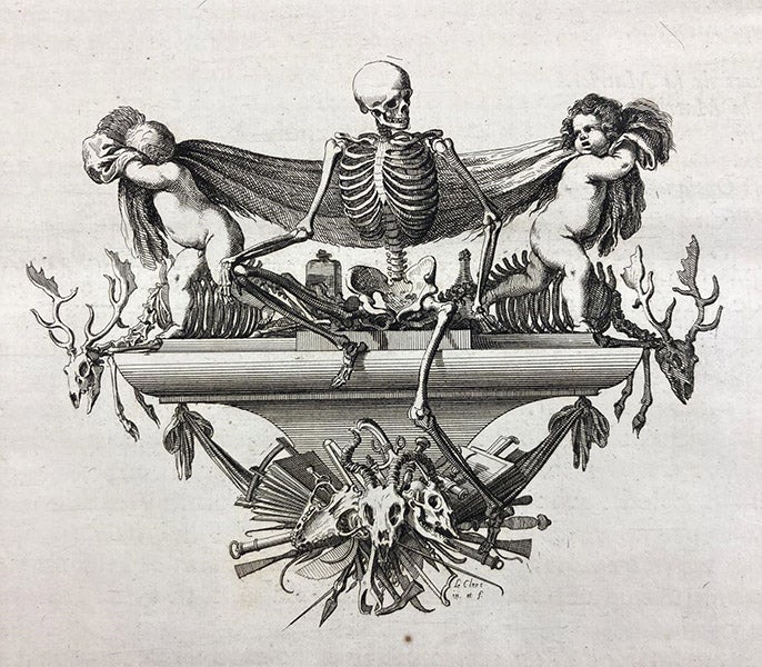 Cul-de-lampe, drawn and engraved by Sébastien Le Clerc, in Mémoires pour servir à l'histoire naturelle des animaux, by Claude Perrault, preface, 1676 (Linda Hall Library)