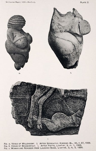 Venus figurines from Willendorf, Brassempouy, and Laugerie-Basse. Image source: MacCurdy, George Grant. “Recent Discoveries Bearing on the Antiquity of Man in Europe.” Annual Report of the Smithsonian Institution, 1909, 1910, pl. 2.