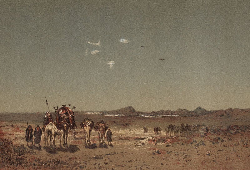 A desert mirage, chromolithograph, Camille Flammarion, L’Atmosphere, 1873 (Linda Hall Library)