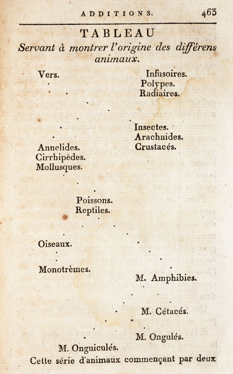 Diagram of evolutionary descent. Image source: Lamarck, Jean Baptiste. Philosophie zoologique, ou Exposition des considérations relative à l’histoire naturelle des animaux. Vol. 2, A Paris: Chez Dentu...; L’Auteur… 1809, p. 463.