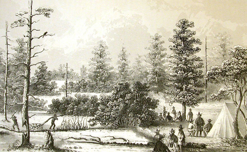 Encampment of the Ives expedition on a Colorado River plateau, lithograph by J.J. Young after H.B. Möllhausen, in Joseph C. Ives, <i>Report upon the Colorado River of the West</i>, 1861 (Linda Hall Library)