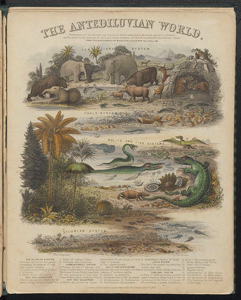“The Antediluvian World”, hand-colored engraved chart by John Emslie, in James Reynolds, Diagrams Illustrating the Sciences of Astronomy and Geography, 1844-50 (Linda Hall Library) 
 
