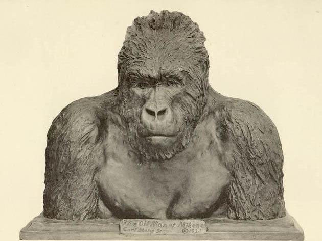 “The Old Man of Mikeno,” bronze bust of a mountain gorilla, by Carl Akeley, Brooklyn Museum, 1923 (Wikimedia commons)