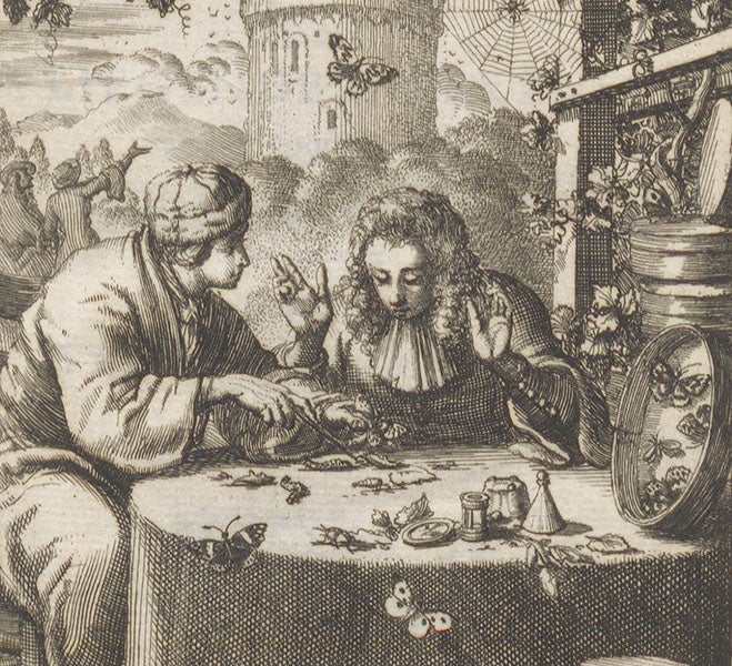 Stephan Blankaart (left) instructing a visitor in the art of the caterpillar, detail of the engraved frontispiece to Schou-burg der rupsen, wormen, máden, en vliegende dierkens, by Stephan Blankaart, 1688 (Linda Hall Library)