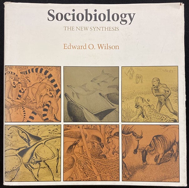 Front dust jacket, Sociobiology: A New Synthesis, by E. O. Wilson, Harvard University Press, 1975 (author’s copy)