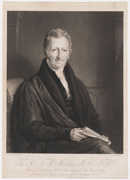 Portrait of Thomas Malthus, mezzotint by John Linnell, 1834 (National Portrait Gallery, London)