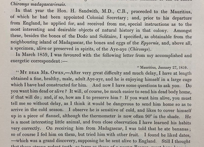 Beginning of Humphry Sandwith’s letter to Richard Owen on the habits of the aye-aye, quoted in “On the Aye-aye …,” by Richard Owen, Transactions of the Zoological Society of London, vol. 5, 1866 (Linda Hall Library)