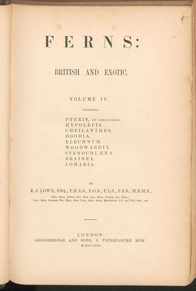 Title page, Ferns: British and Exotic, by Edward Joseph Lowe, vol. 4, 1858-64 (Linda Hall Library)