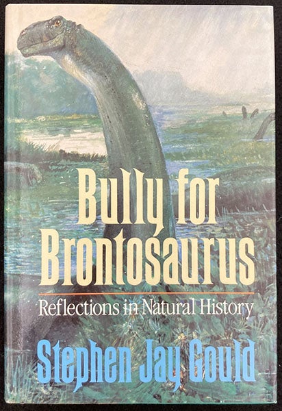 Dust jacket of Bully for Brontosaurus: Reflections in Natural History, by Stephen Jay Gould, W.E. Norton & Co., 1991 (author’s copy)