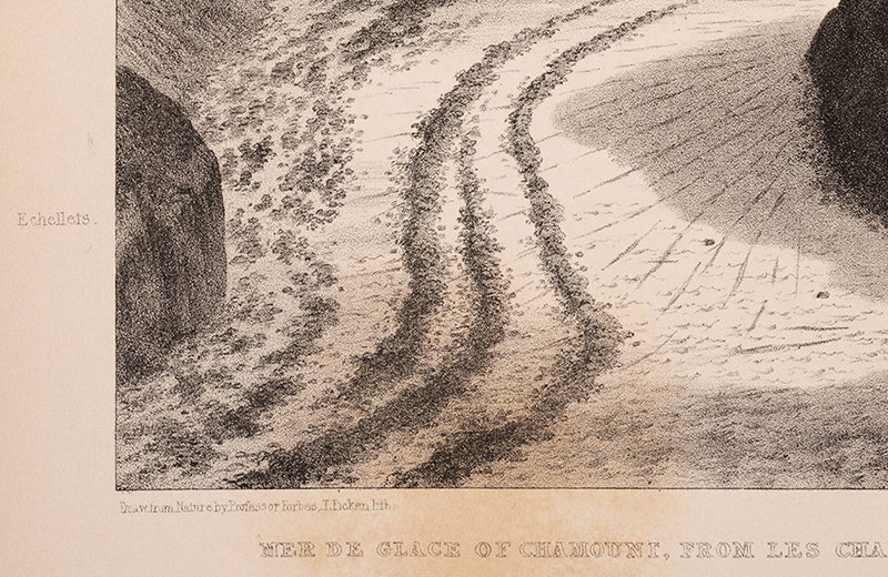 Detail of fifth image, signed “Drawn from Nature by Professor Forbes, T. Picken lith. ” (Linda Hall Library)