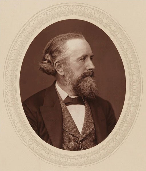 Portrait of Edward Frankland, X Club member, photograph, 1880, National Portrait Gallery (npg.org.uk)