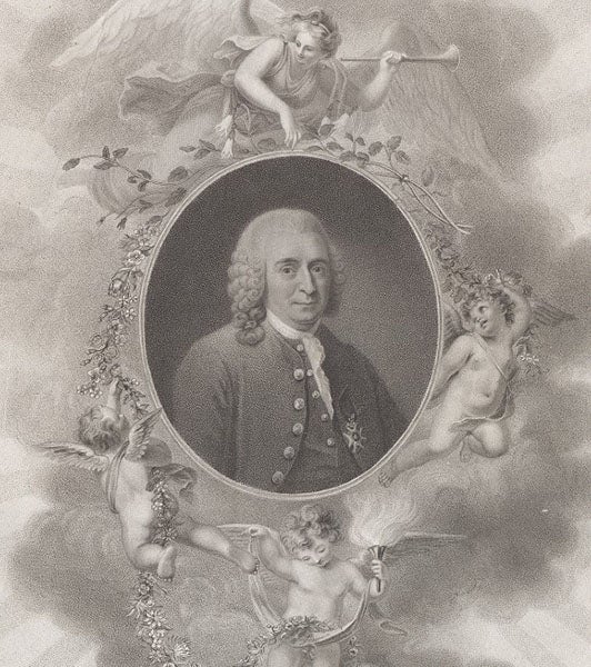 Medallion bust of Carolus Linnaeus, engraving, in New Illustration of the Sexual System of Carolus von Linnaeus, by John Thornton, 1807 (Linda Hall Library)