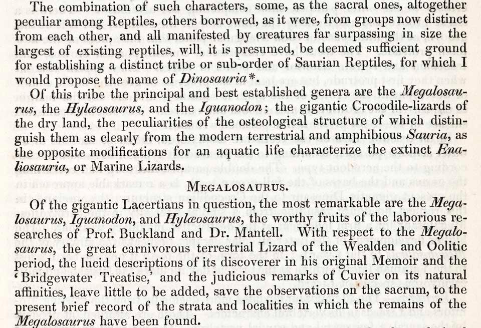 The term "dinosaur" was born from the first use of Dinosauria, the "terrible lizards". This work was on display in the original exhibition as item 4. Image source: Owen, Richard. "Report on British fossil reptiles. Part II," in: Report of the Eleventh Meeting of the British Association for the Advancement of Science, held at Plymouth, July 1841, p. 103.