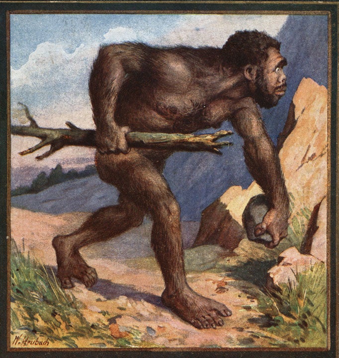 Neanderthal on front cover. Image source: Wilser, Ludwig. Leben und Heimat des Urmenschen. Leipzig: Verlag von Theod. Thomas, 1910.